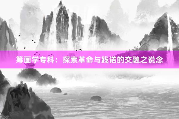 筹画学专科：探索革命与践诺的交融之说念
