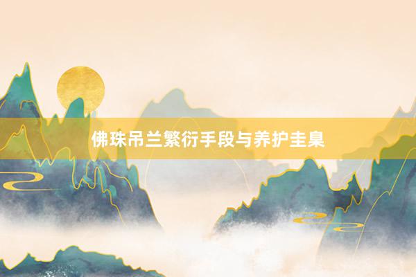 佛珠吊兰繁衍手段与养护圭臬