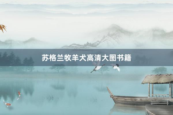 苏格兰牧羊犬高清大图书籍