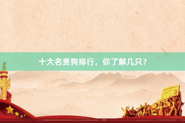 十大名贵狗排行，你了解几只？