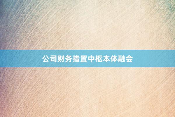 公司财务措置中枢本体融会